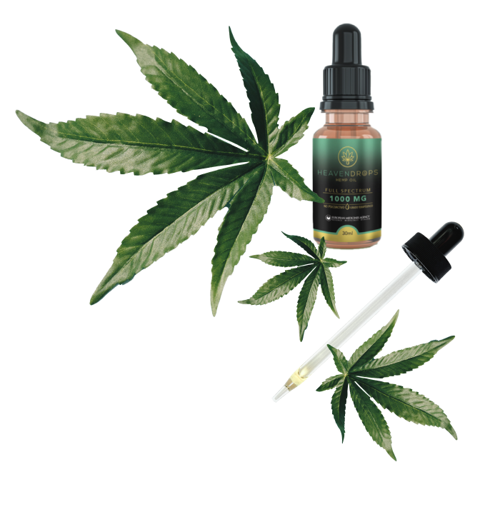 hemp oil and leaves